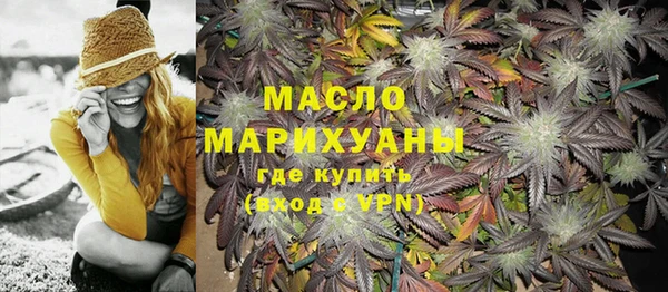шишки Чердынь
